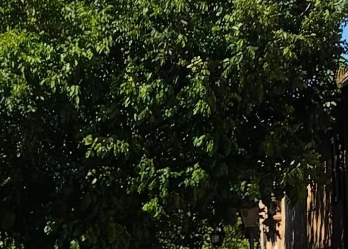Nel Cuore Di Trastevere דירה *